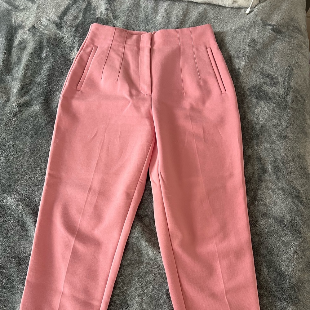 High Waisted Pink Zara Pants